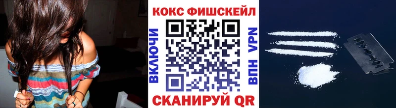 Cocaine FishScale  Купить закладки  Алатырь 